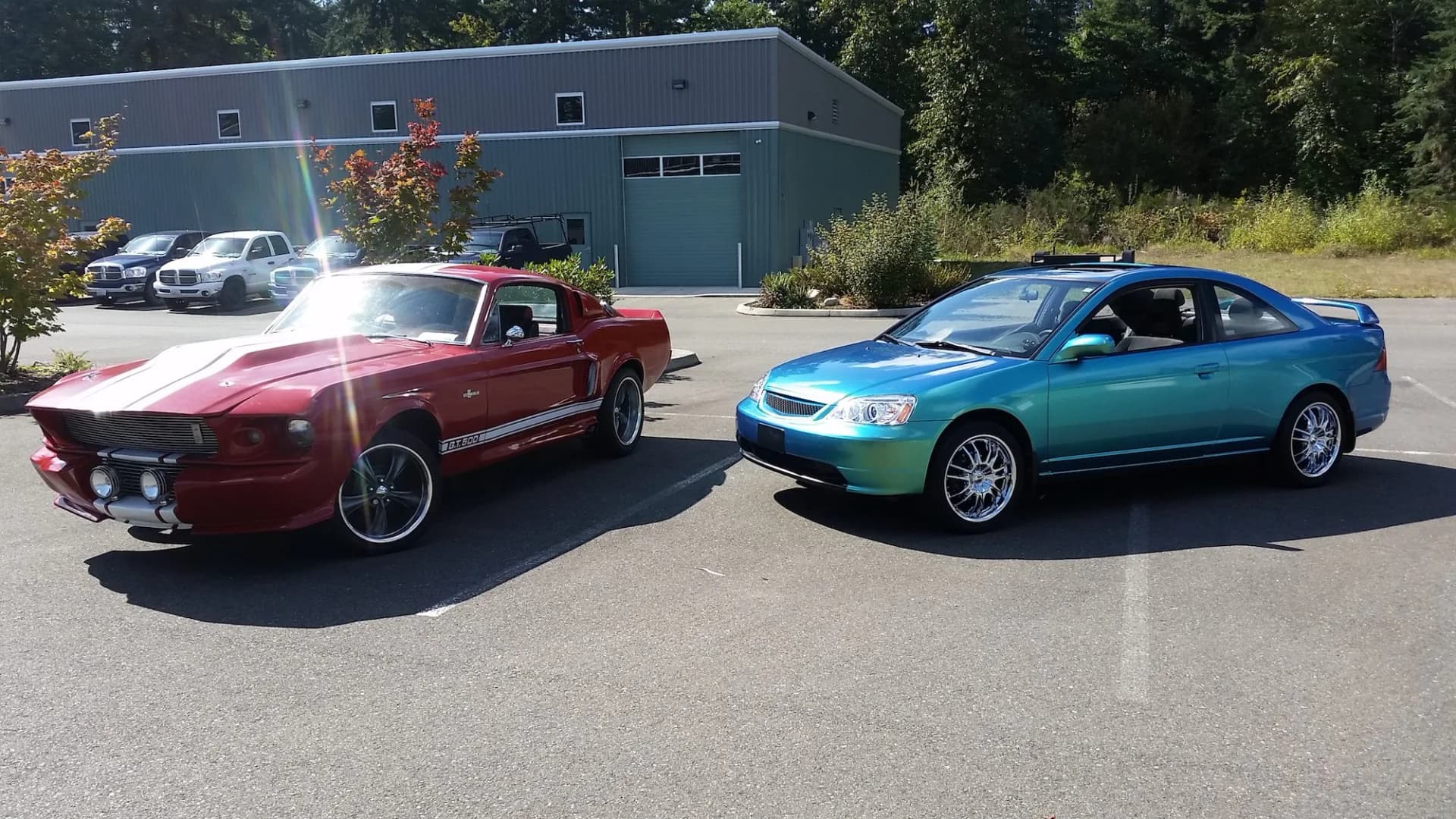 A color-shift Honda Civic beside a striped Ford Mustang, both wrapped by Oly Wraps